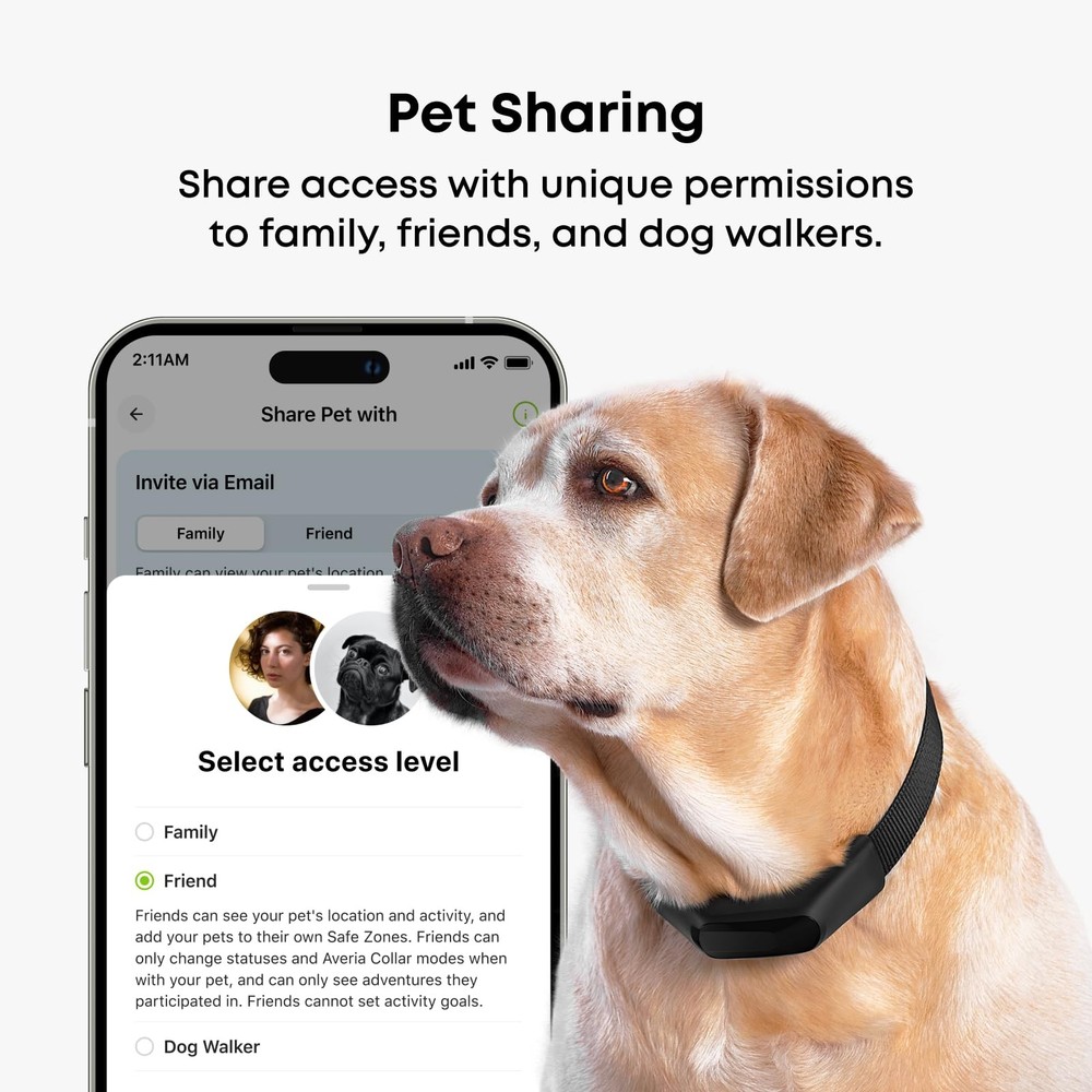 Collar - Reliable GPS and Activity Tracker for Dogs