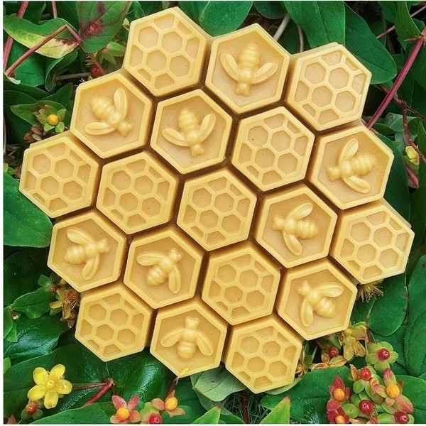 Carpenter bee. Attractant Super Lure - 2026 Works in the rain Keeps scent longer