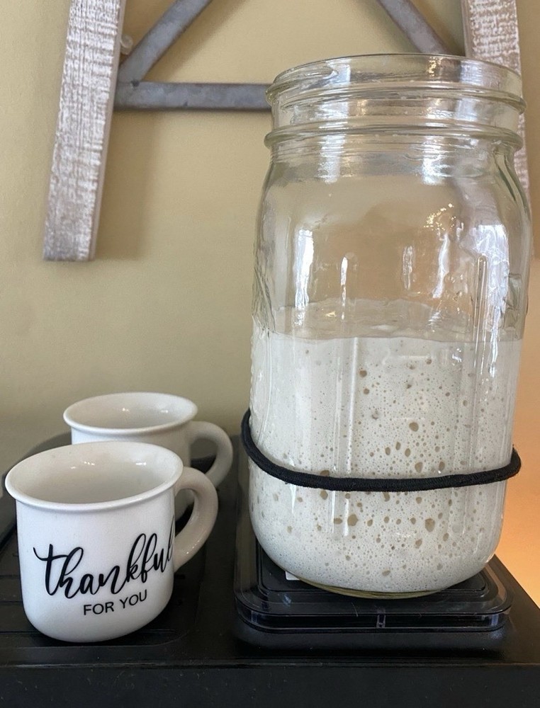 Dehydrated Sourdough Starter!
