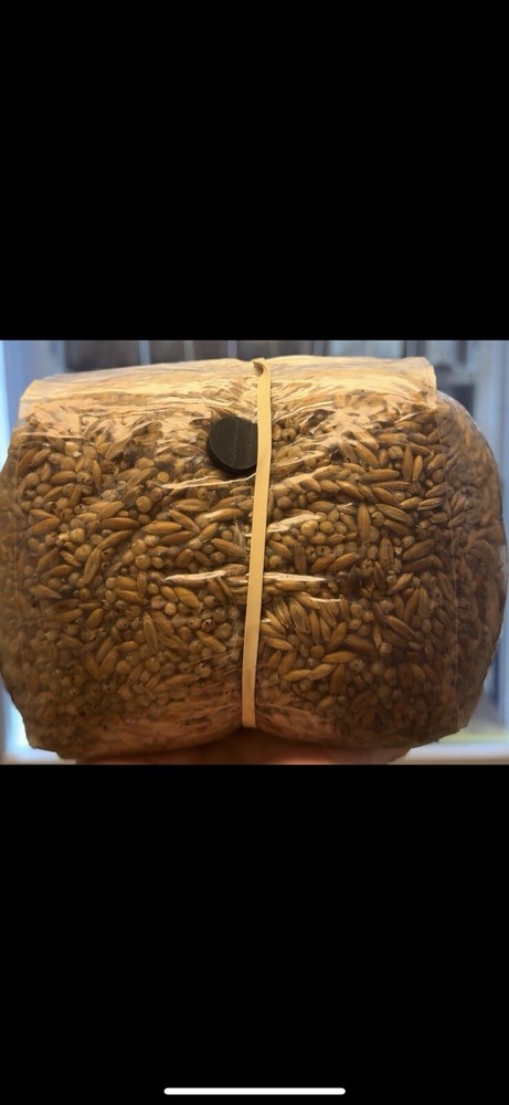 Sterilized grain spawn