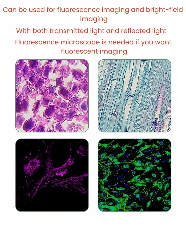 Semi Apochromatic Fluorescence Objective Lens UPlanFLN 180mm Infinity Optical