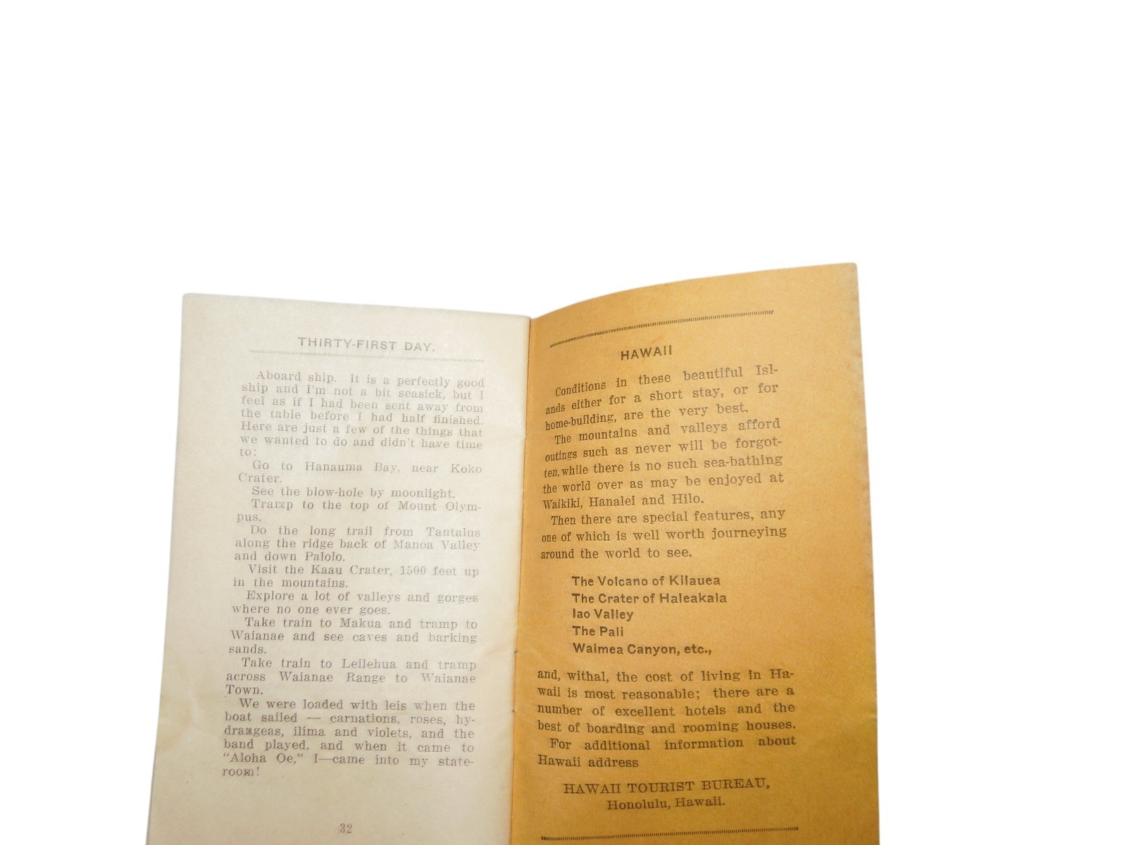 Original WWI 1919 A Month in Honolulu HAWAII Diary Book Q6