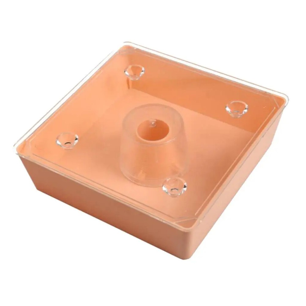Beehive Bee Feeder Beekeeper Tool Easy to Use