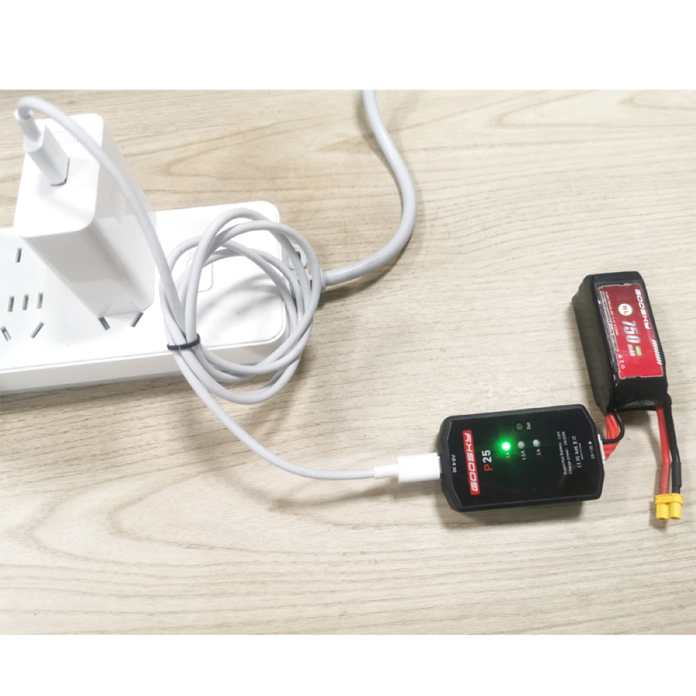 Goosky P25 2-3S Charger