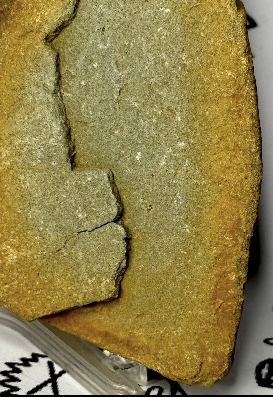 Native American Indian Authentic Artifact Stone Carved Effigy, 2 lb 12 oz • VA