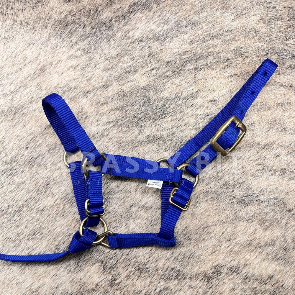 Mini Pony Halter