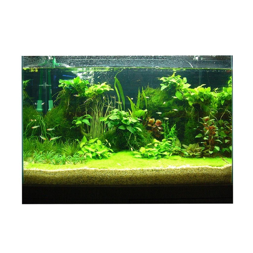 Landscape Accessory Poster Aquarium Decorations Sticker