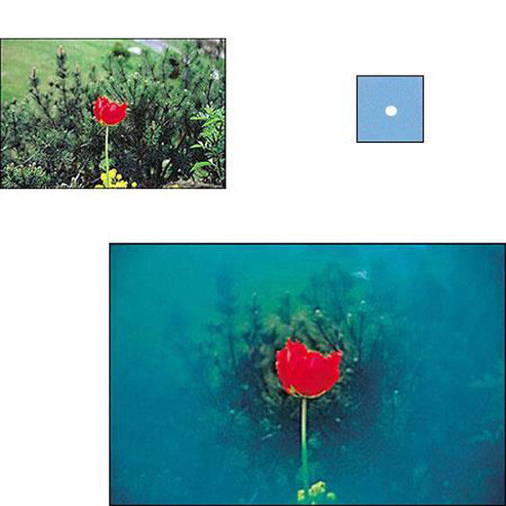 Cokin Spot-Blue  A67 filter