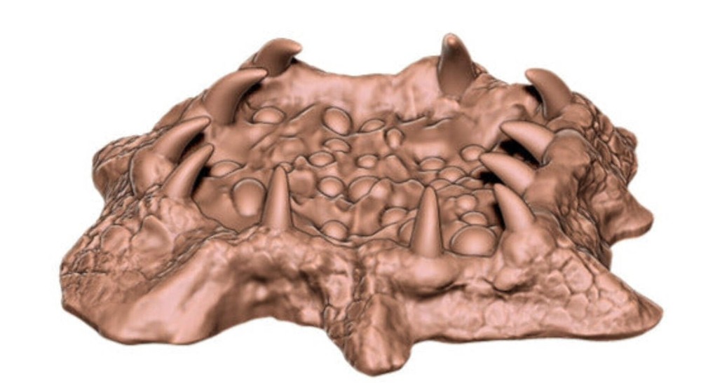 Tharyon Braz - Alien Insect Trap