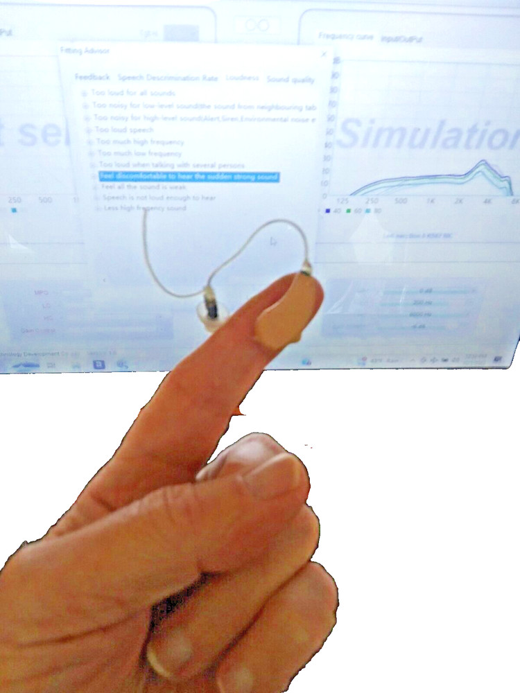 NEW PROGRAMMABLE MINI DIGITAL RIC HEARING AID right noise control WE PROGRAM