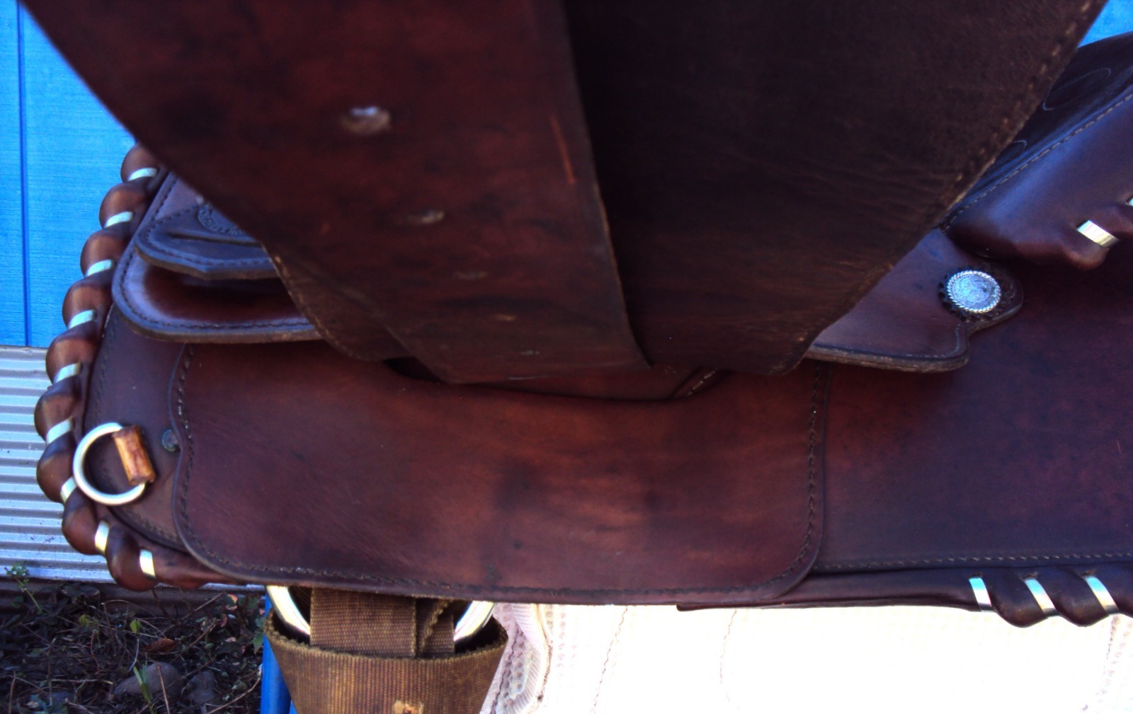 CIRCLE Y Western Show Saddle - 15" - SILVER CONCHOS - Padded Seat - BEAUTIFUL!