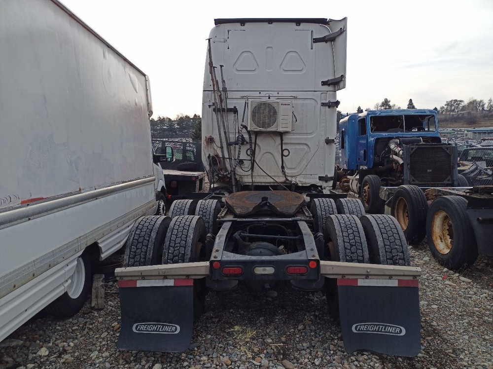 2019-UP Cascadia Bunk Ladder (12786746