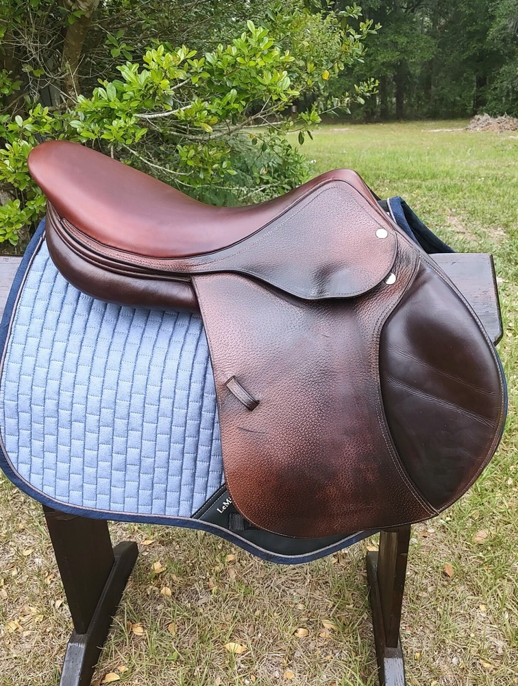 Amerigo Jump/Event - 17.5" / UC324JA