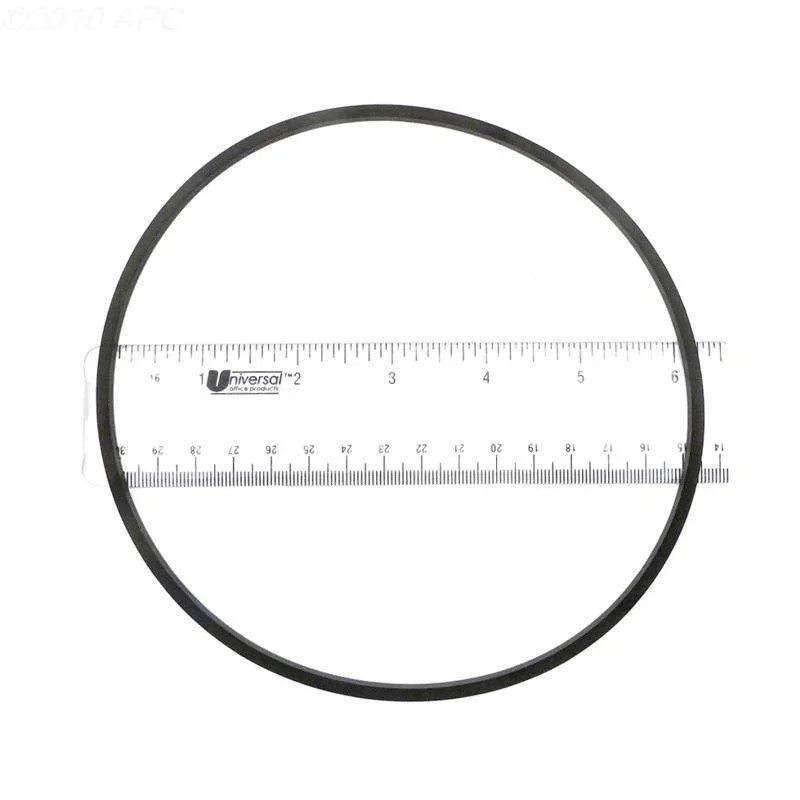 Gasket, Strainer body