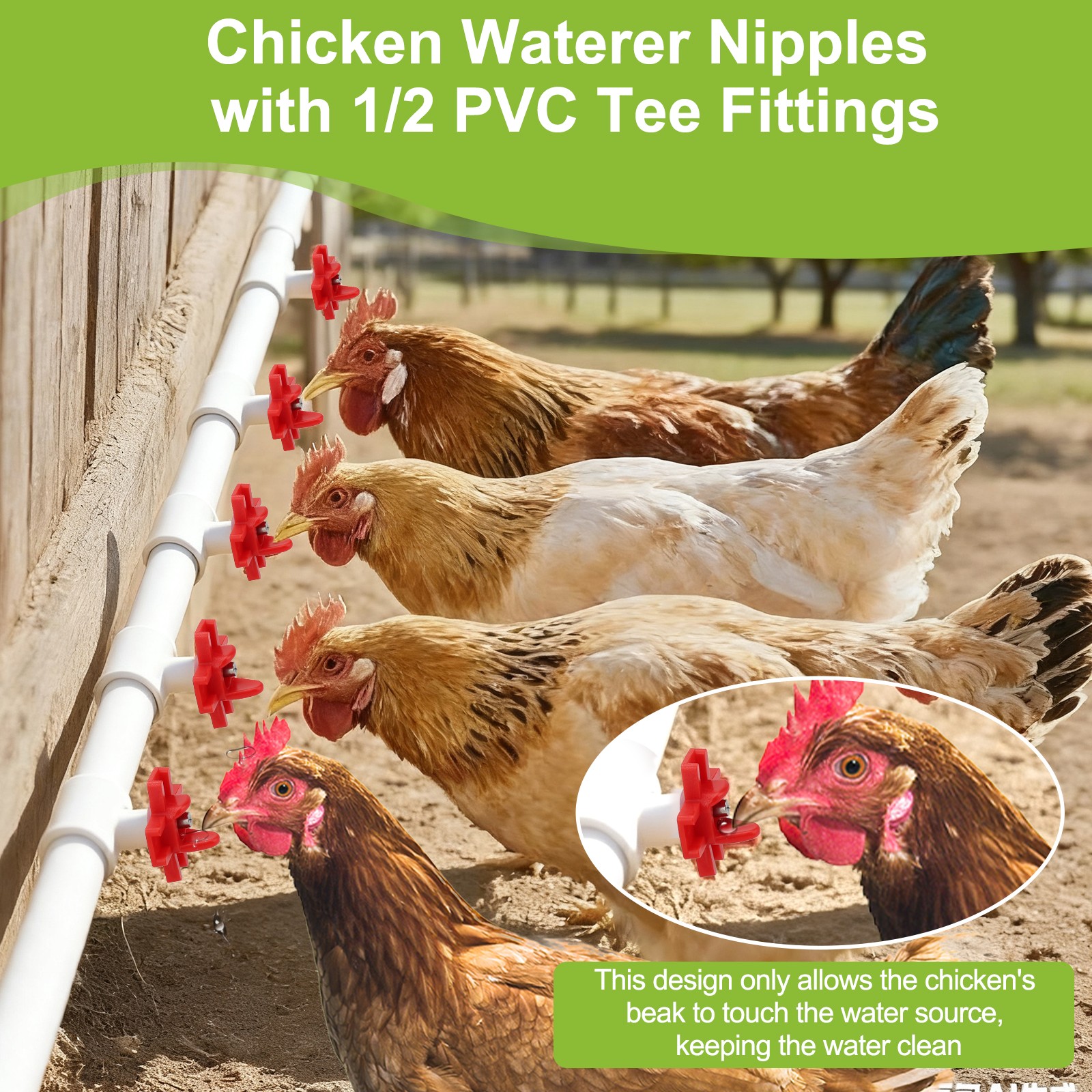 12PCS Chicken Nipples Waterer w/ 1/2'' PVC Tee Fittings DIY Auto Watering System