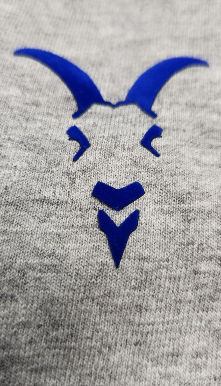 Las Chivas De Guadalajara Rebaño Iron-On Patches Liga MX Fútbol Mexicano Parche