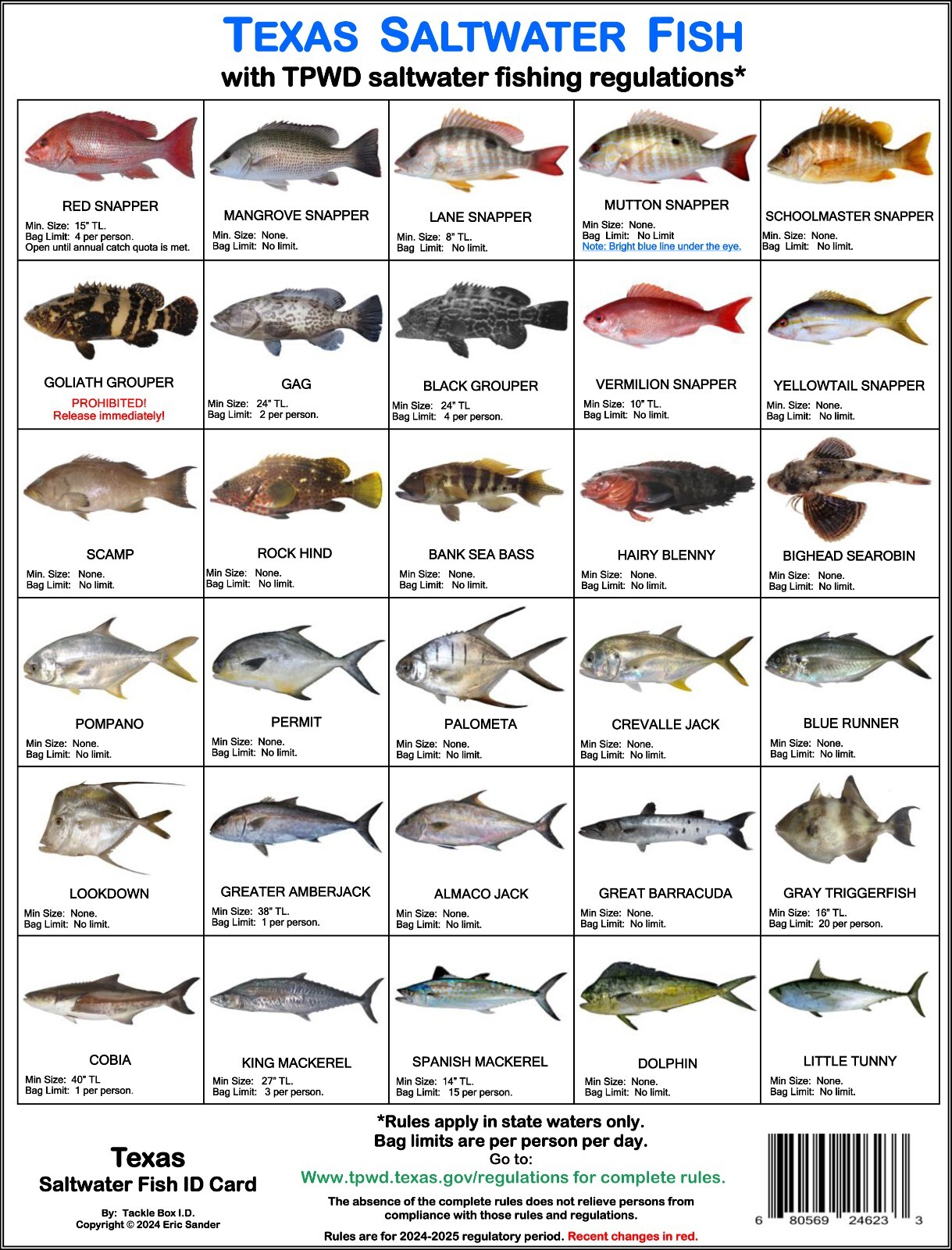 Saltwater Fish ID and Regulations Jumbo Card - Texas