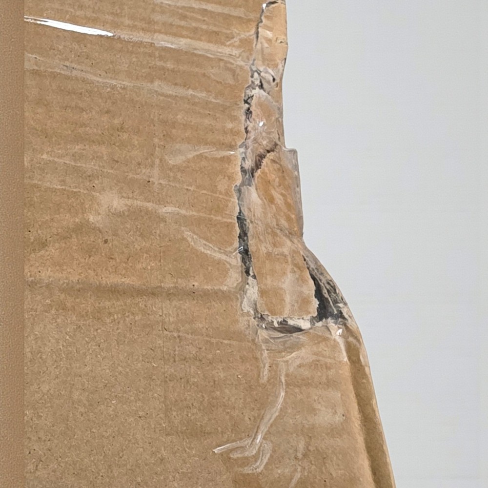 UCIN vibration plate exercise machine.