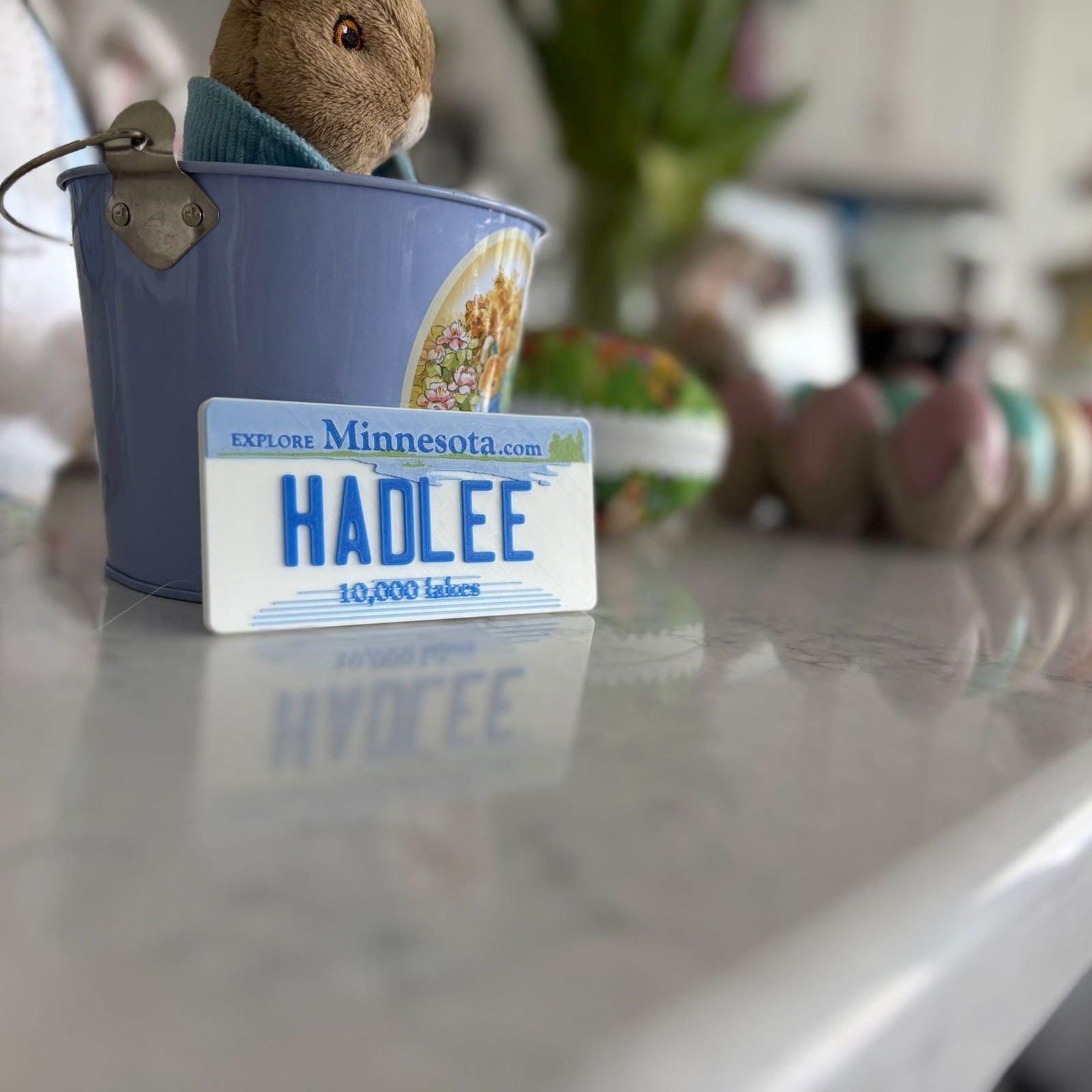 Personalized Mini License Plate Tag – Custom 3D 4x2” State Plate for Kids