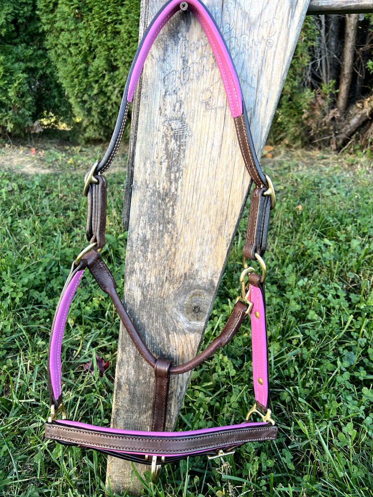 Leaders 3/4" Leather Halter Pink Padded with Solid Brass Hardware