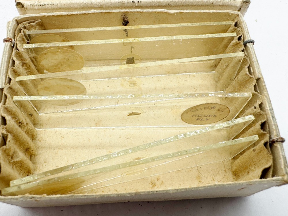 VINTAGE S.E.L. SPECIMEN SLIDES FOR STUDENT MICROSCOPE MADE IN ENGLAND