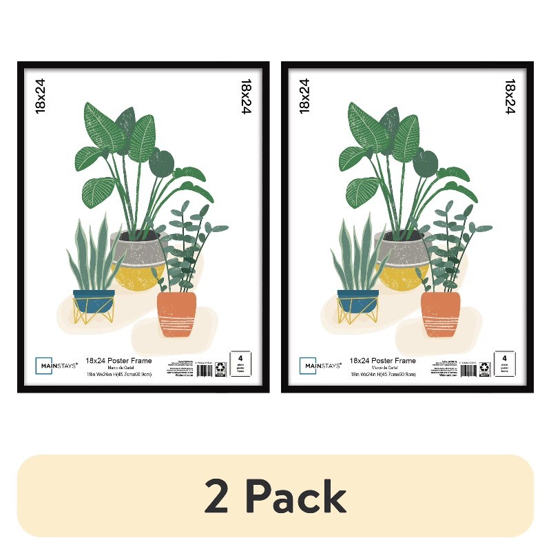 (2 pack) Mainstays 18" x 24" Basic Black Poster Frame