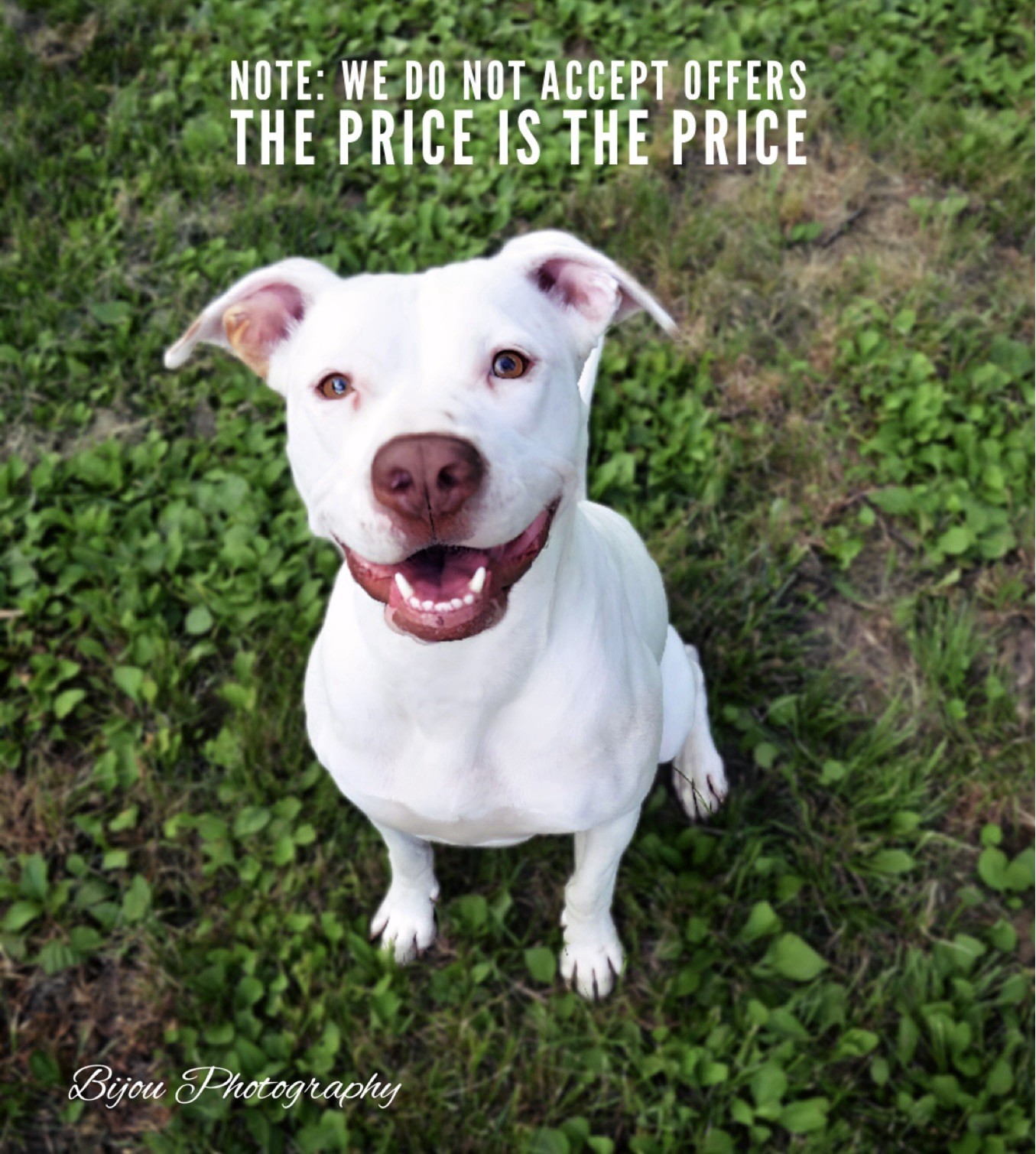 Glock 43X Factory OEM Rainbow PVD Stripped Slide Fit Model 43 or 48 NEW USA