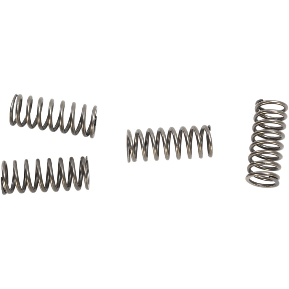 EBC Clutch Springs | CSK219