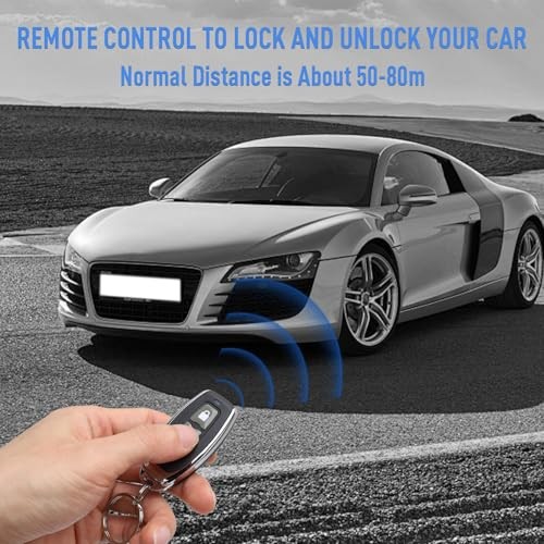 Keyless Entry Car System, Auto Remote Control Kit with 2 Remotes, LB-402/L248