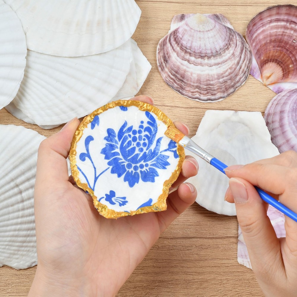 Decoupage Crafts Shells, Large Real Shells, 20PCS Clean Purple Shells with Ba...