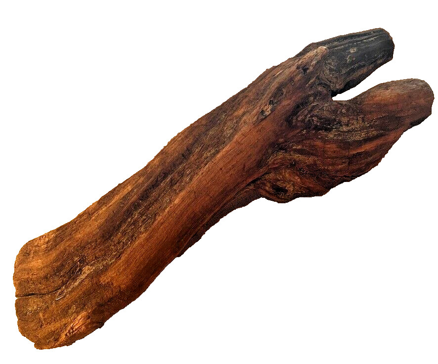18" x 5" Redwood Driftwood Organic Craft Aquarium Rustic Boho Natural Wood