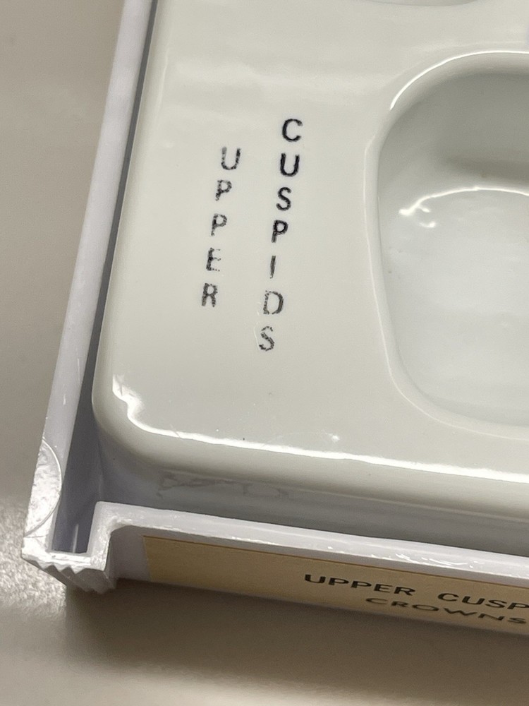 Upper Cuspid Crowns by Rugby Labs plus Extras 🦷