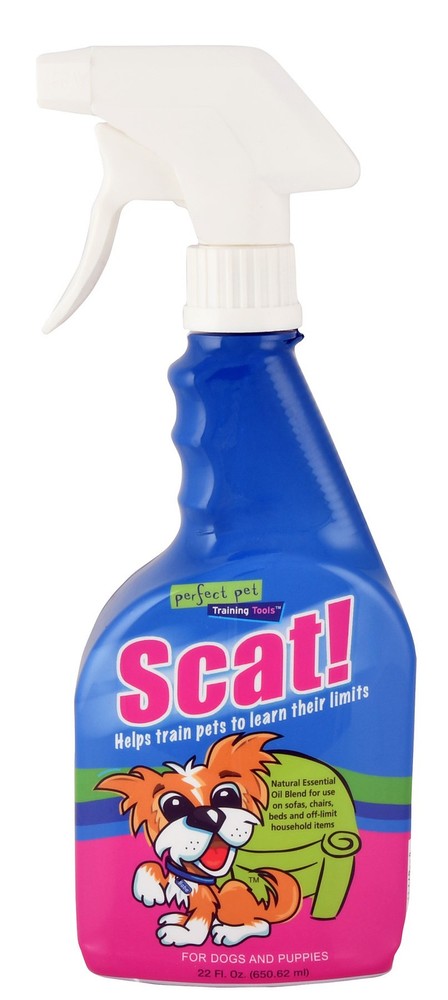 Scat!, 22 oz DAV1X