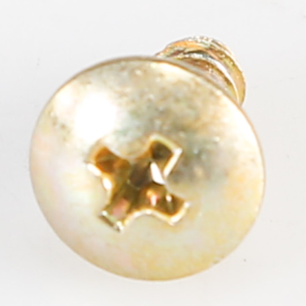 WP8281146 Whirlpool Screw OEM WP8281146