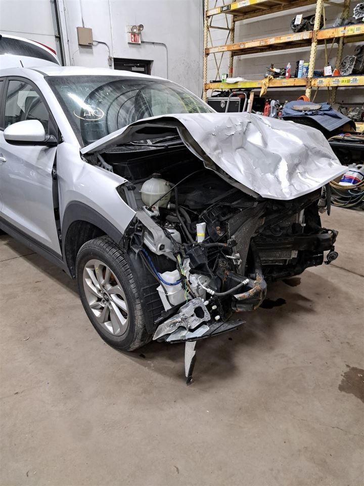 2016 Tucson Jack Sku#4356355