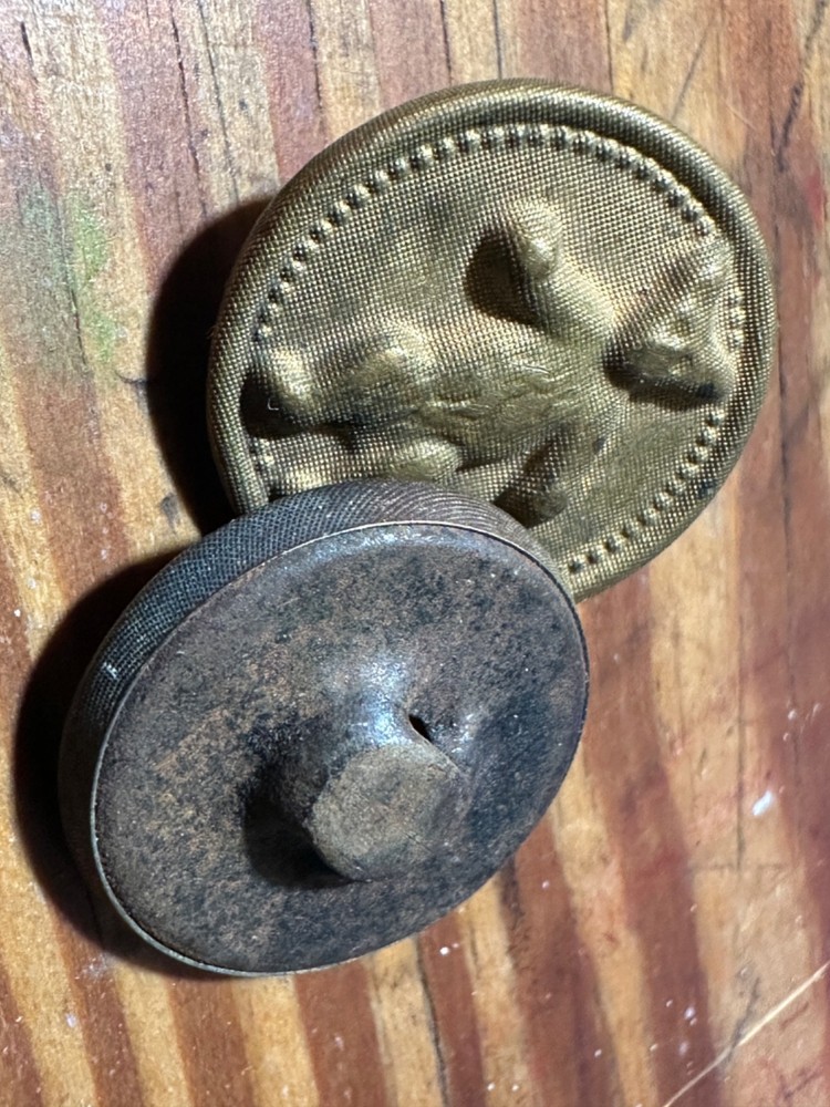 2 Antique Metal Teddy Bear Buttons 1902 - 1908