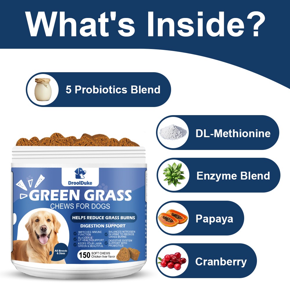 Dog urine neutralizer chewable tablets help inhibit bacteria neutralize odors