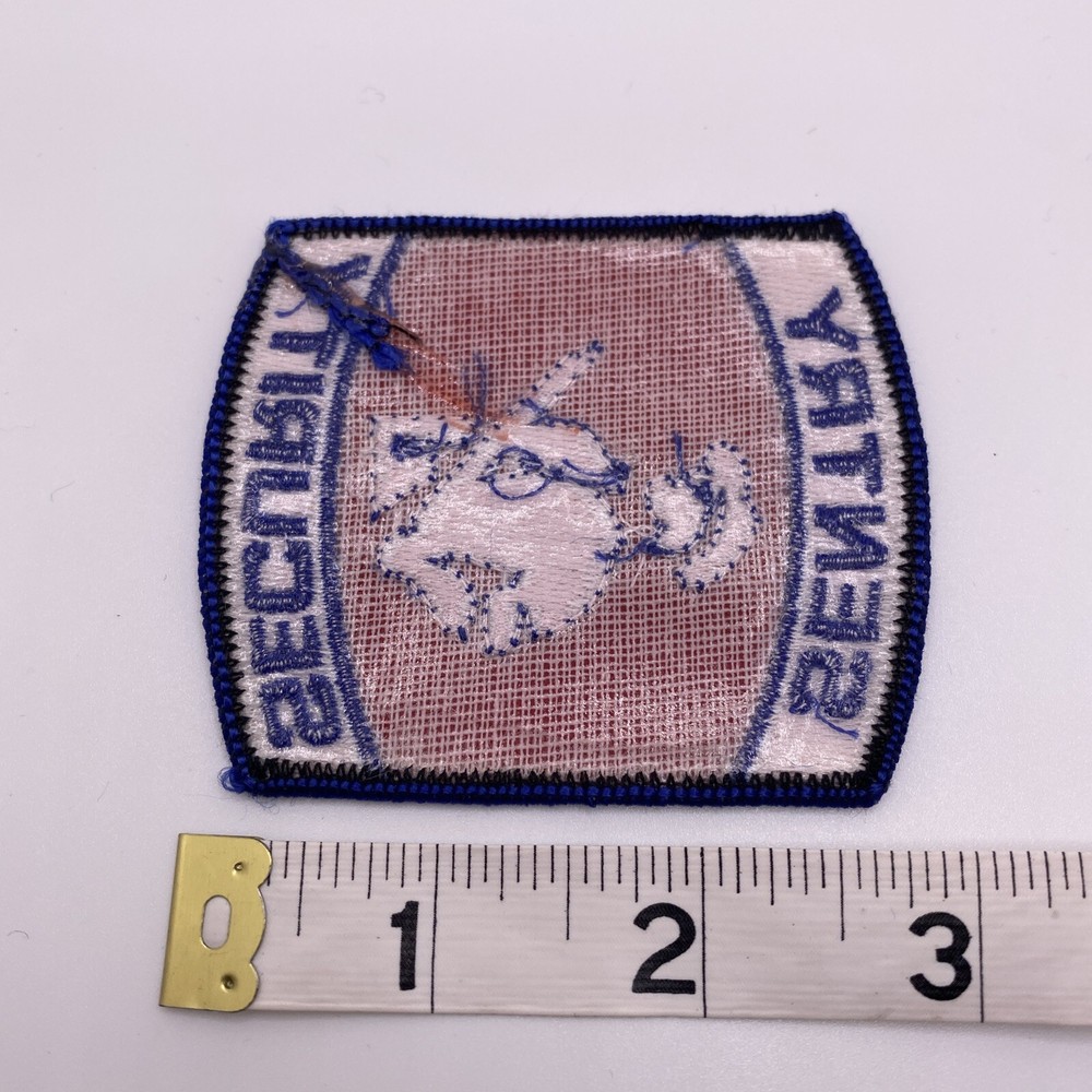 Sentry Security, Security Guard,￼Embroidered Patch Crest Emblem