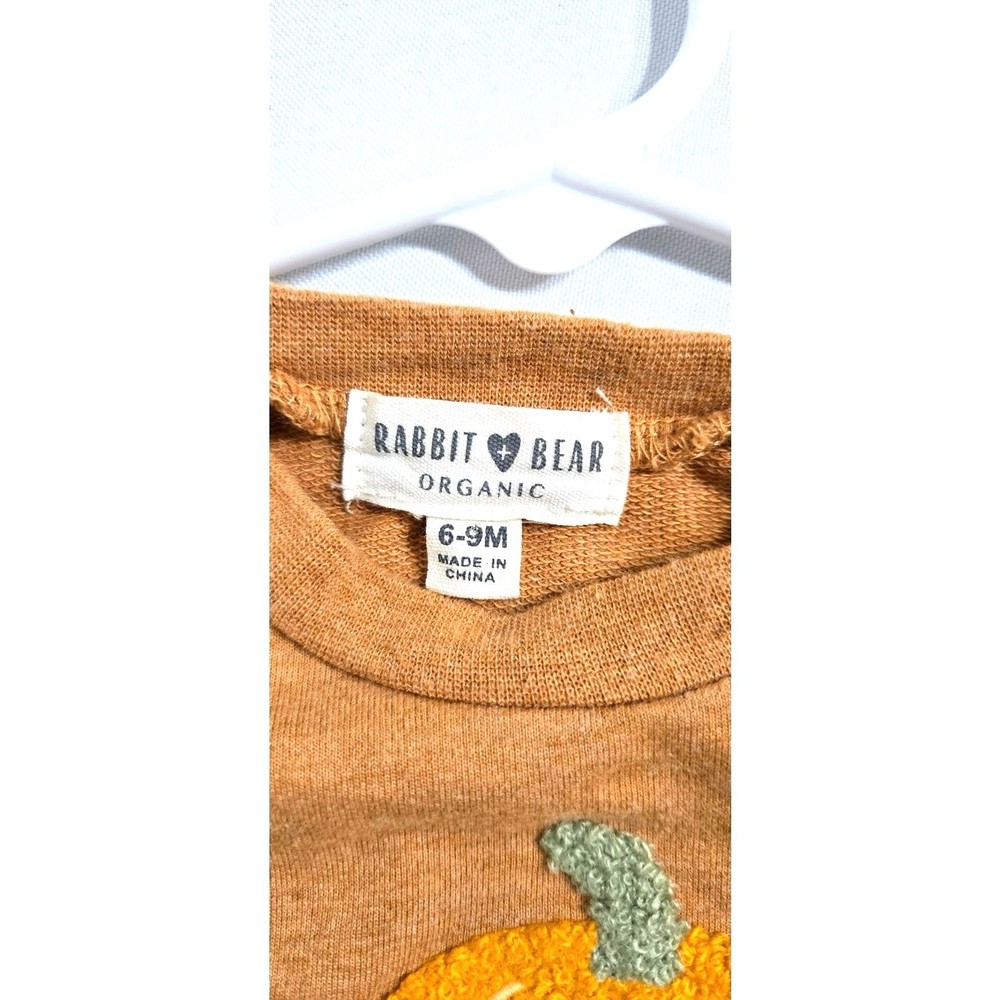 Rabbit +Bear pumpkin sweatshirt. Size 6-9 months.