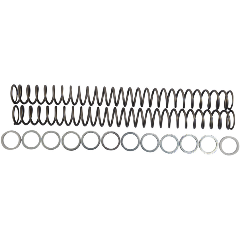 Race Tech Fork Springs - 0.48 kg/mm | FRSP 434648
