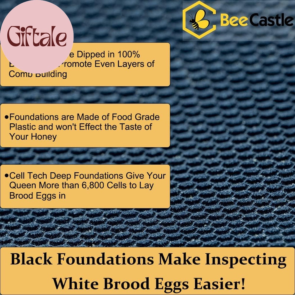 8 Frame Langstroth Bee Hive Coated with Beeswax Includes Beehive Frames and Waxe