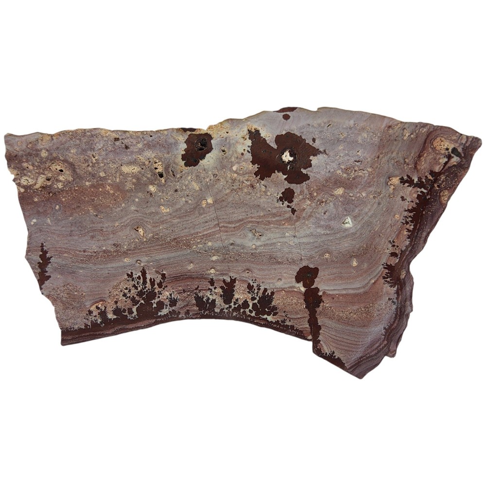 Apache Dendritic Rhyolite, Apache Sage, cabbing rough, #R-7031
