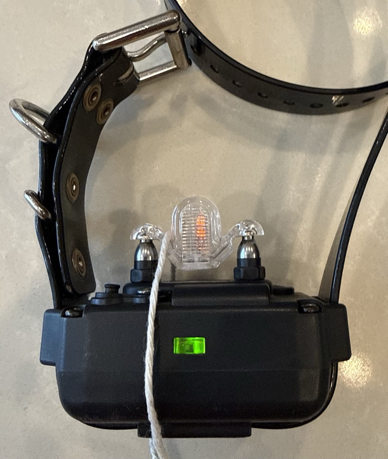 Dogtra 1900NCP Field Star, Remote Controlled Dog Training Collar, NEW BATTERIES