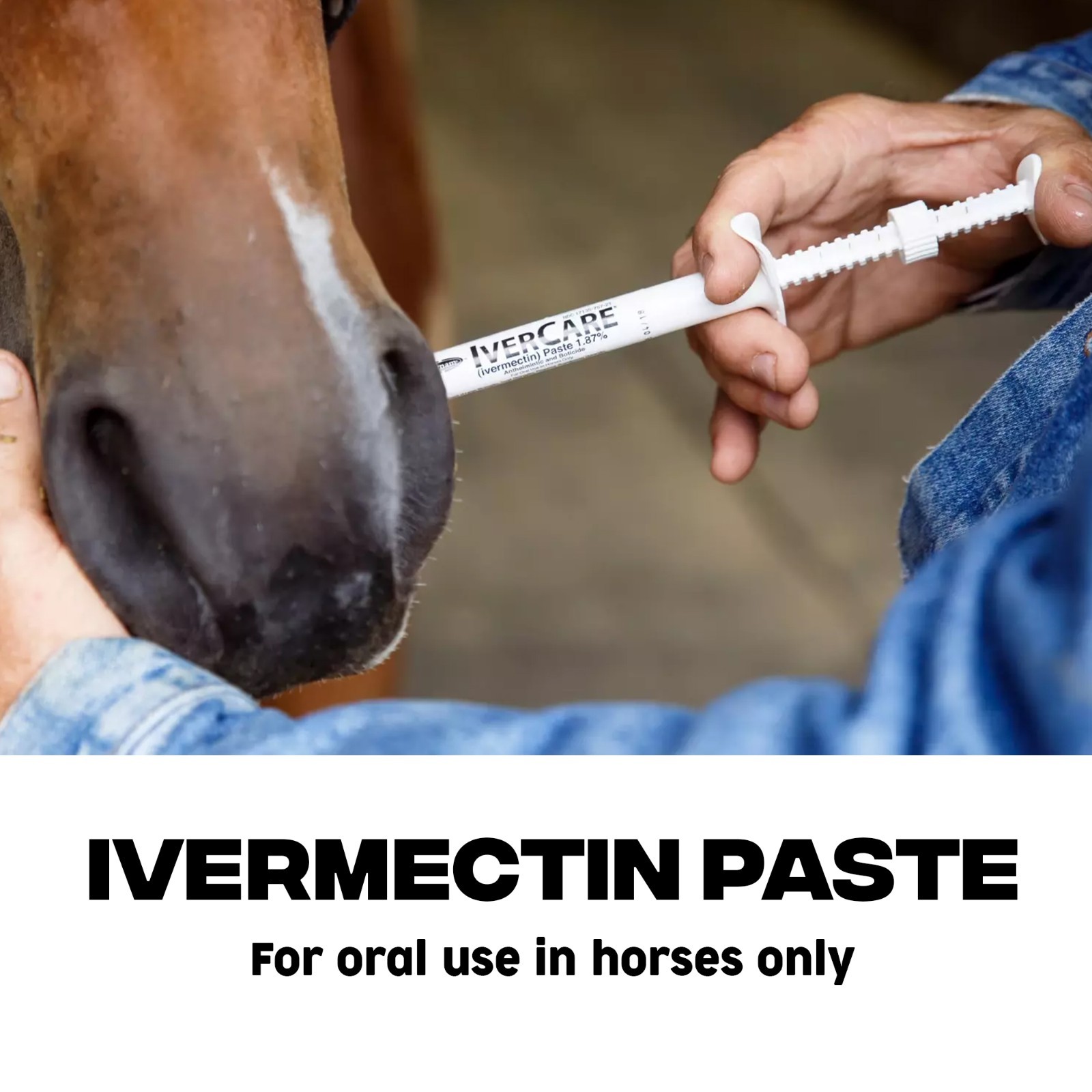 10 Pack Horse Dewormer Paste Apple Flavor Exp 04/2026 Near Expiry