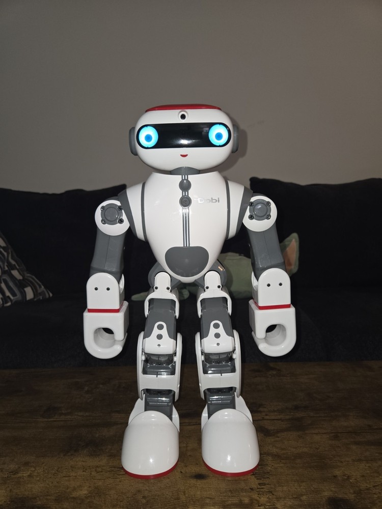 RARE WLtoys Dobi Humanoid Robot