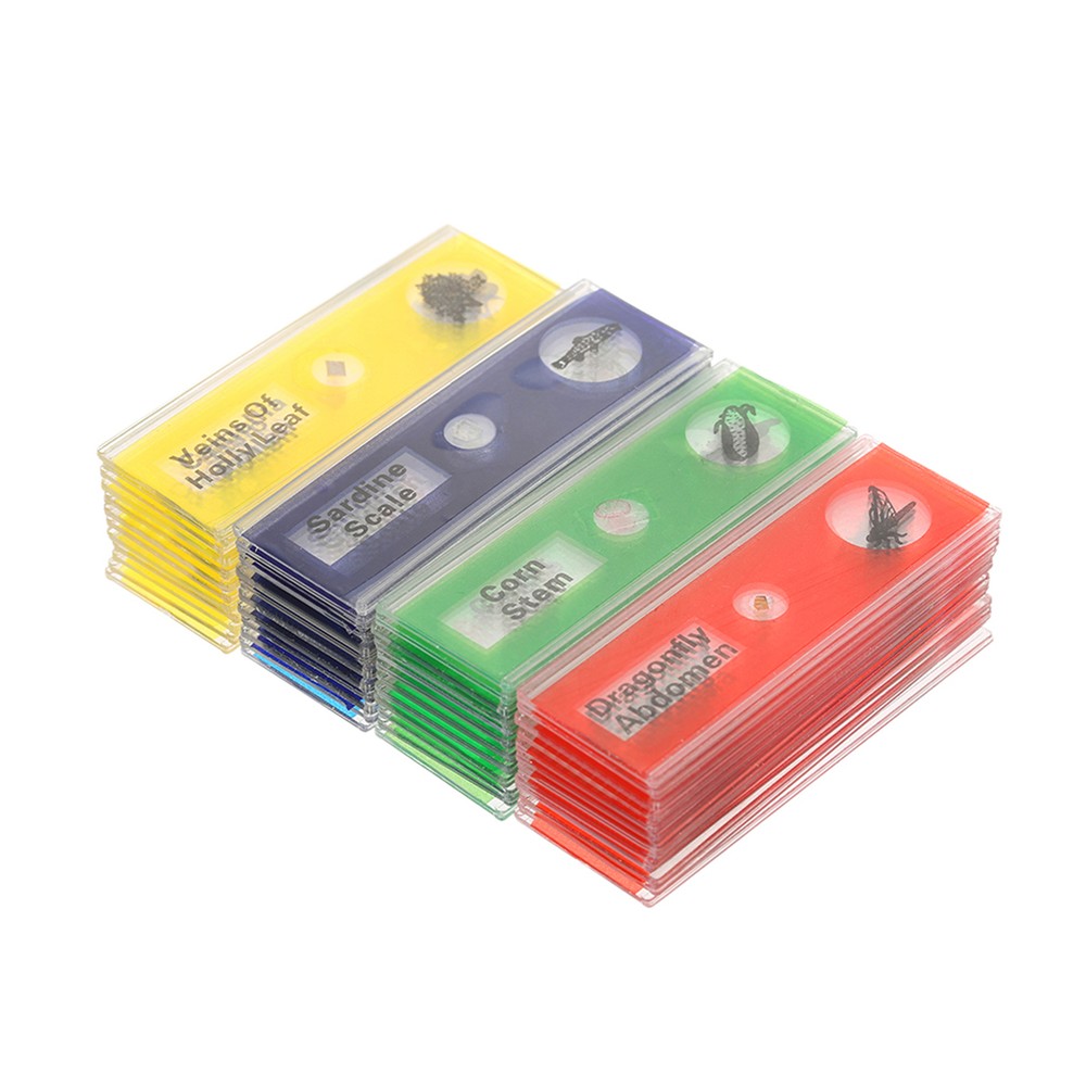 48pcs/set  Prepared Microscope Slides Animals Insects Plants Sample Y4D1