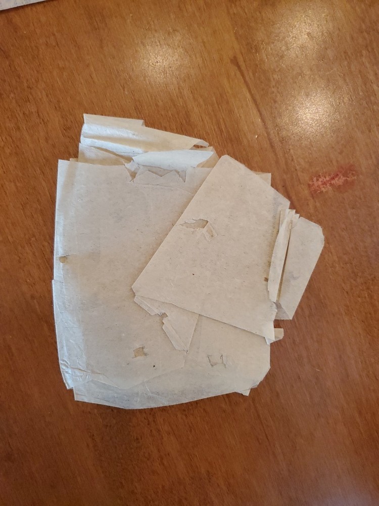 Woman's Home Conpanion Rag Doll Patterns