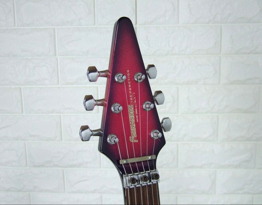 FERNANDES BSV Flying V type Safe Packing!