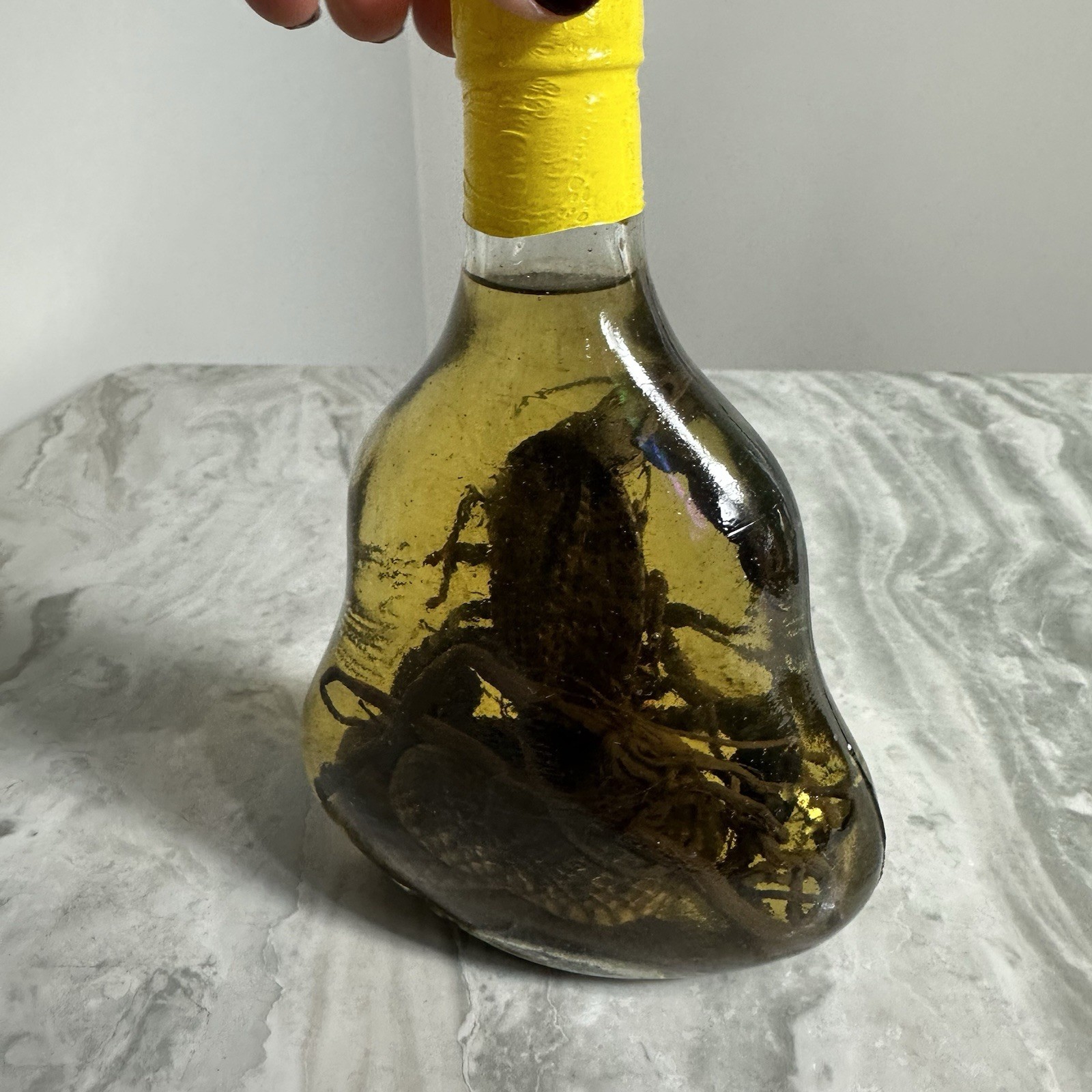 Cobra Snake And A Scorpion In A Glass Bottle 7" Tall - Snake Wine?