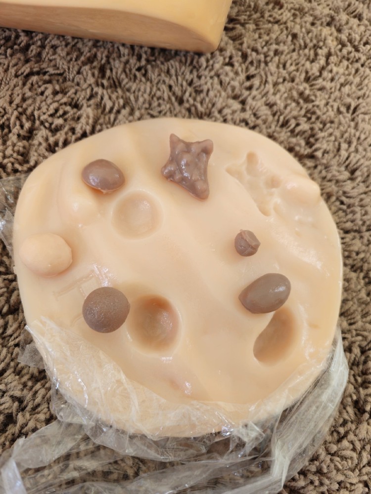 NASCO Life Form Advanced Breast Exam Simulator Model Nursing Training LF00980